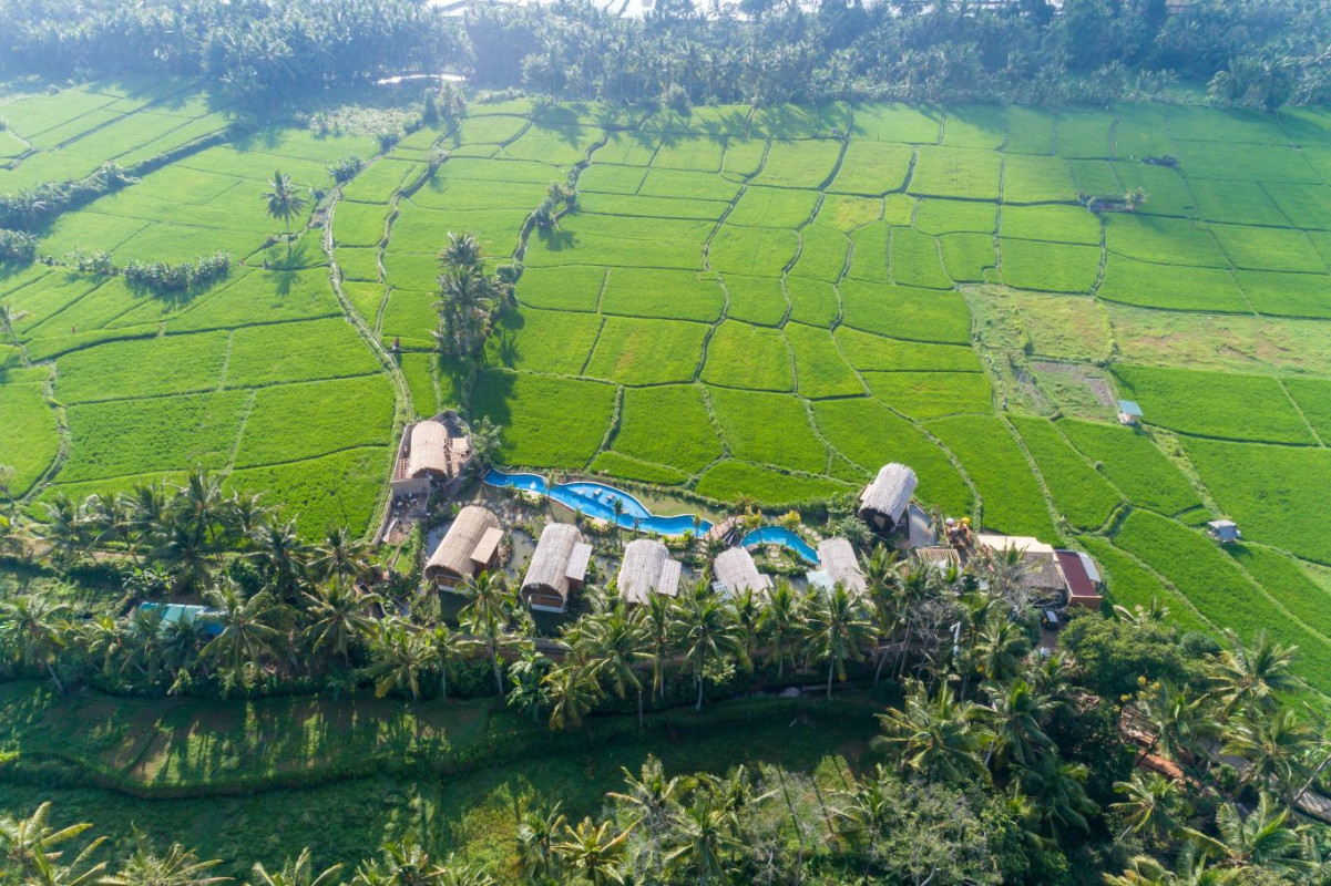 Discovering Tranquillity at Beehouse Dijiwa Ubud: A Haven of Tranquility Amidst Nature's Embrace