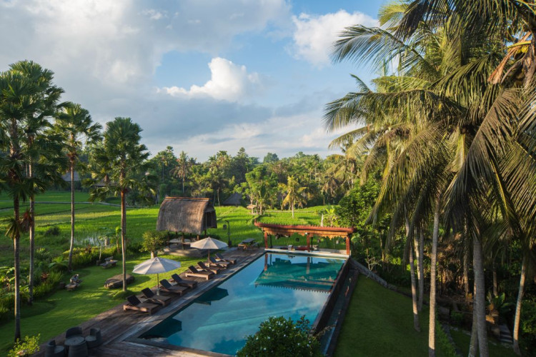 Serenity Hotels in Ubud with Dijiwa Sanctuaries