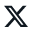 x-icon